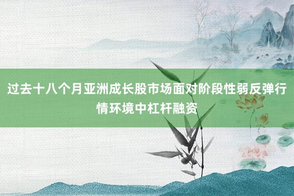 过去十八个月亚洲成长股市场面对阶段性弱反弹行情环境中杠杆融资