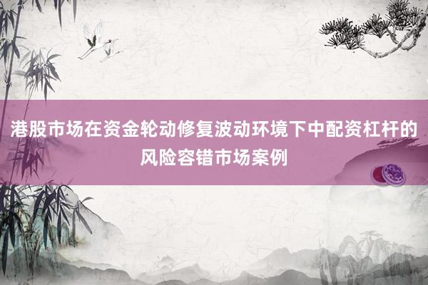 港股市场在资金轮动修复波动环境下中配资杠杆的风险容错市场案例