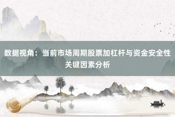 数据视角：当前市场周期股票加杠杆与资金安全性关键因素分析