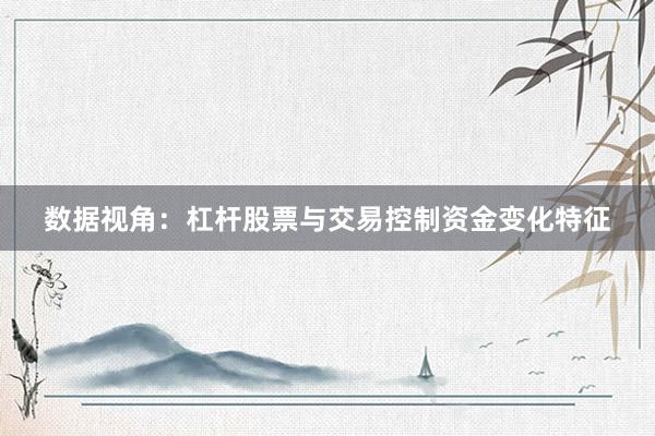 数据视角：杠杆股票与交易控制资金变化特征