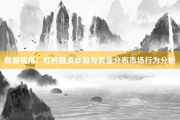 数据视角:杠杆融资炒股与资金分布市场行为分析