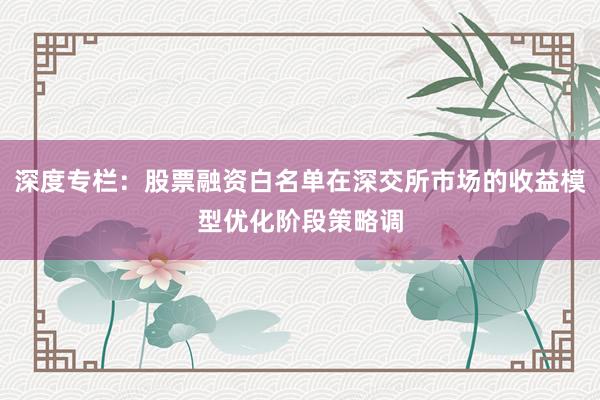 深度专栏：股票融资白名单在深交所市场的收益模型优化阶段策略调