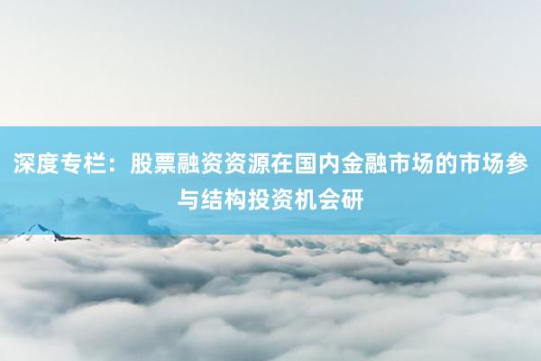 深度专栏：股票融资资源在国内金融市场的市场参与结构投资机会研