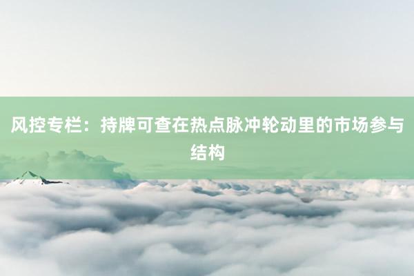 风控专栏：持牌可查在热点脉冲轮动里的市场参与结构