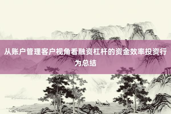从账户管理客户视角看融资杠杆的资金效率投资行为总结