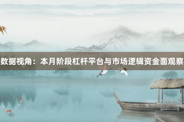 数据视角：本月阶段杠杆平台与市场逻辑资金面观察