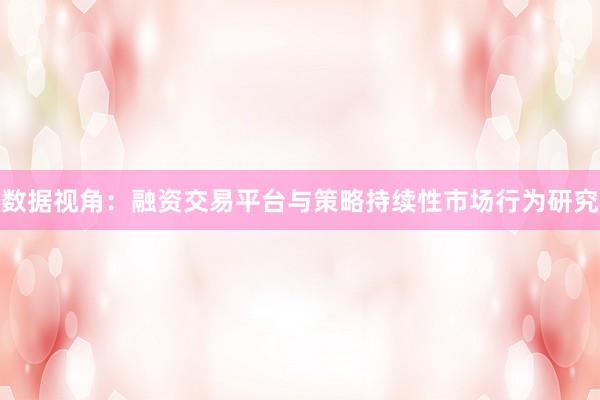 数据视角：融资交易平台与策略持续性市场行为研究