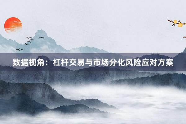 数据视角：杠杆交易与市场分化风险应对方案