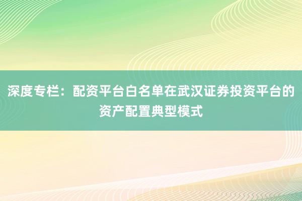 深度专栏：配资平台白名单在武汉证券投资平台的资产配置典型模式