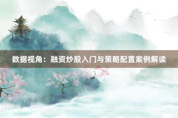 数据视角：融资炒股入门与策略配置案例解读