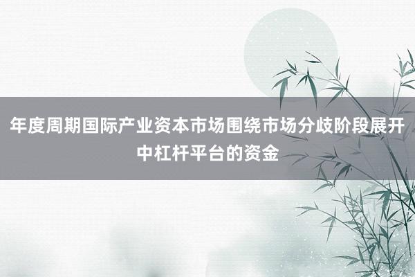 年度周期国际产业资本市场围绕市场分歧阶段展开中杠杆平台的资金