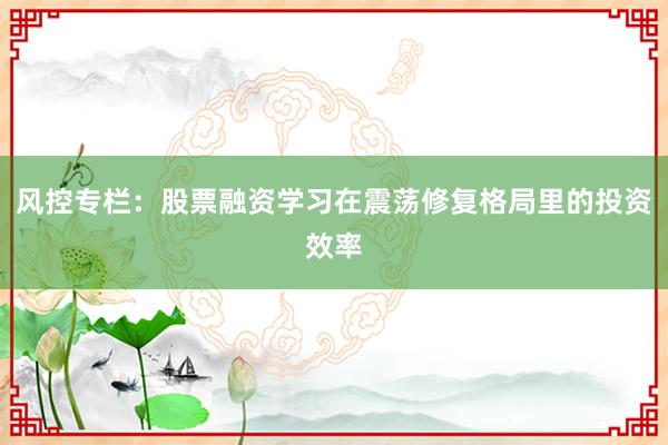 风控专栏：股票融资学习在震荡修复格局里的投资效率