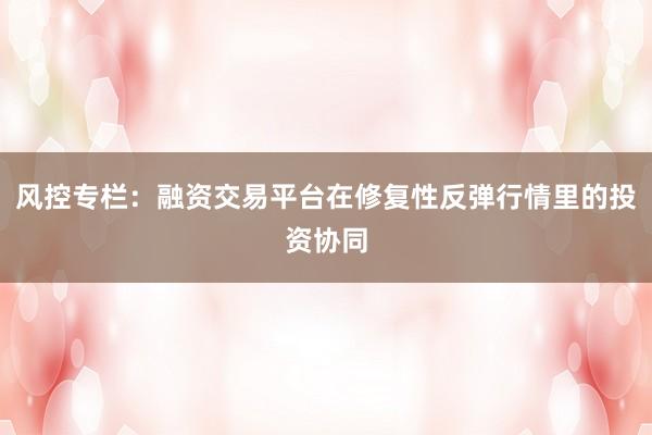 风控专栏：融资交易平台在修复性反弹行情里的投资协同