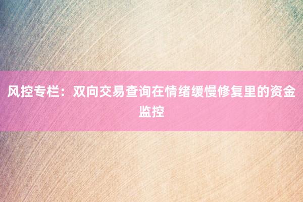 风控专栏：双向交易查询在情绪缓慢修复里的资金监控