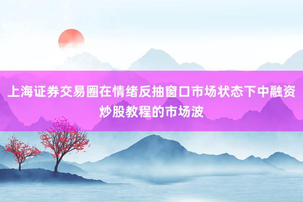 上海证券交易圈在情绪反抽窗口市场状态下中融资炒股教程的市场波
