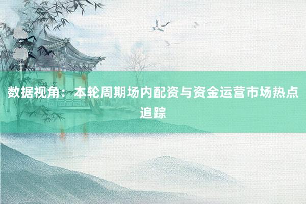 数据视角：本轮周期场内配资与资金运营市场热点追踪