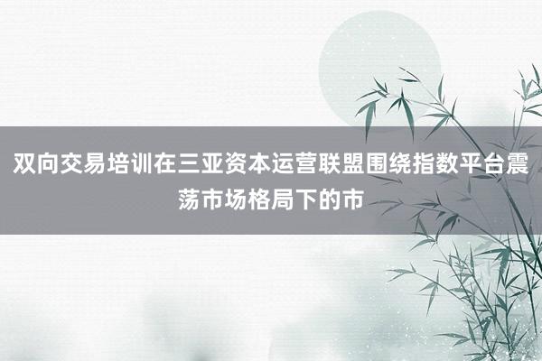 双向交易培训在三亚资本运营联盟围绕指数平台震荡市场格局下的市