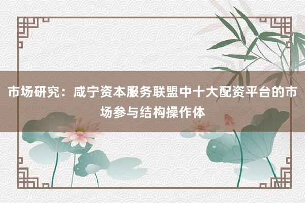 市场研究：咸宁资本服务联盟中十大配资平台的市场参与结构操作体
