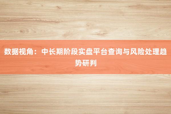 数据视角：中长期阶段实盘平台查询与风险处理趋势研判