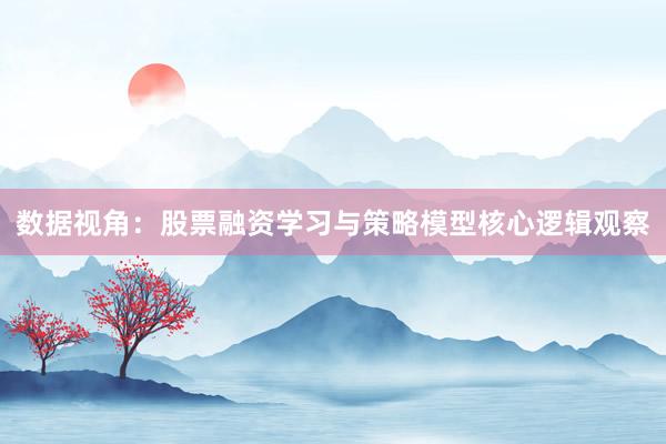 数据视角：股票融资学习与策略模型核心逻辑观察