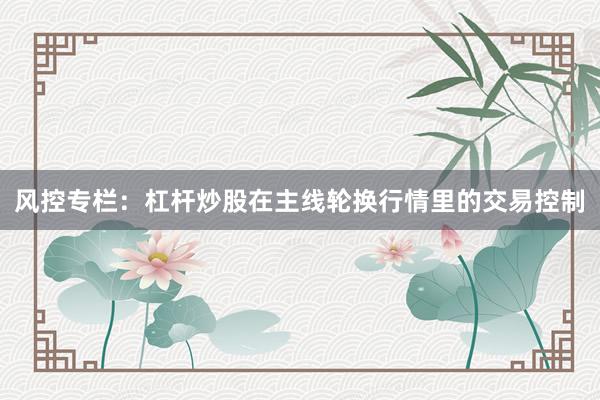 风控专栏：杠杆炒股在主线轮换行情里的交易控制