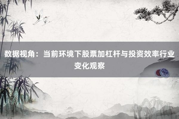 数据视角：当前环境下股票加杠杆与投资效率行业变化观察