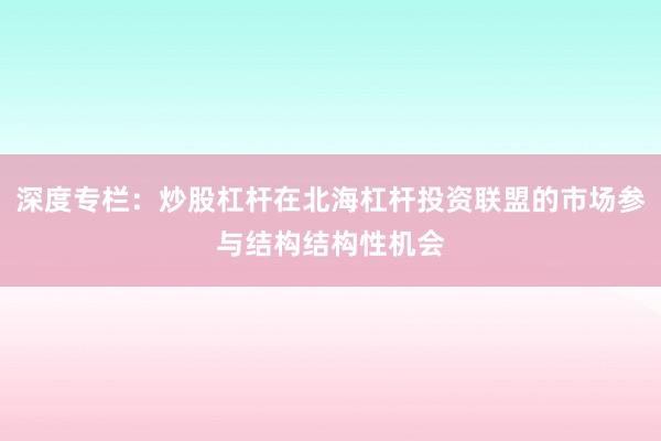 深度专栏：炒股杠杆在北海杠杆投资联盟的市场参与结构结构性机会
