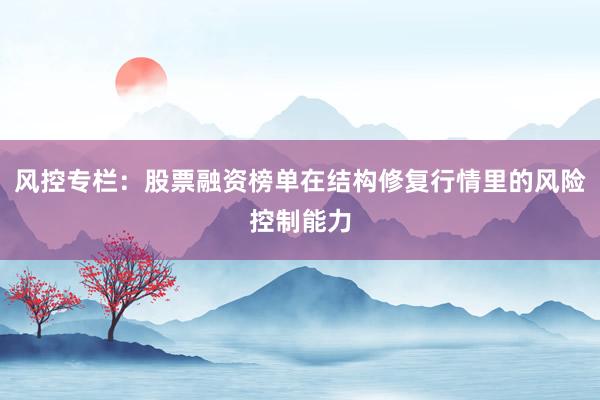 风控专栏：股票融资榜单在结构修复行情里的风险控制能力