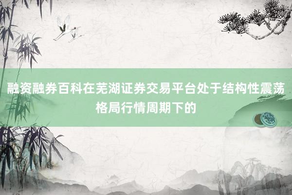 融资融券百科在芜湖证券交易平台处于结构性震荡格局行情周期下的