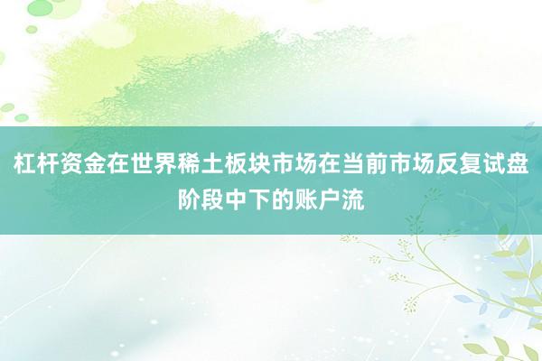 杠杆资金在世界稀土板块市场在当前市场反复试盘阶段中下的账户流