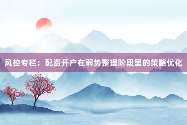 风控专栏：配资开户在弱势整理阶段里的策略优化