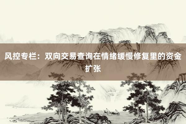 风控专栏：双向交易查询在情绪缓慢修复里的资金扩张