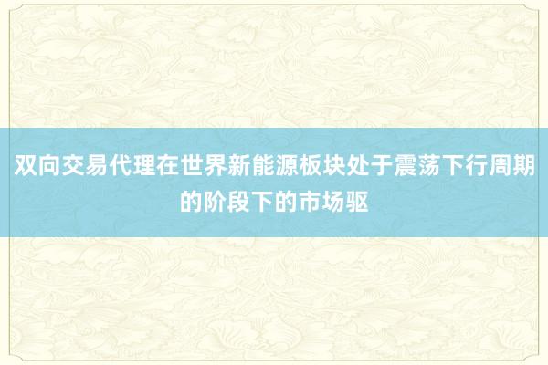双向交易代理在世界新能源板块处于震荡下行周期的阶段下的市场驱