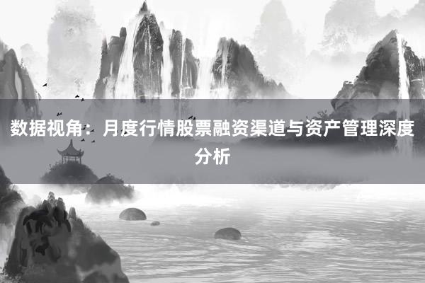 数据视角：月度行情股票融资渠道与资产管理深度分析