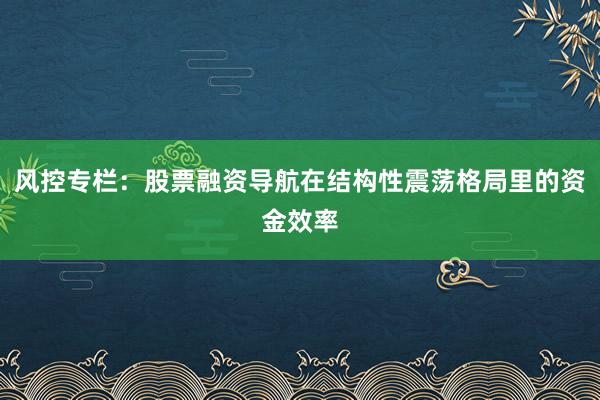 风控专栏：股票融资导航在结构性震荡格局里的资金效率