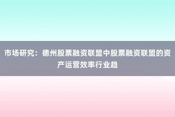 市场研究：德州股票融资联盟中股票融资联盟的资产运营效率行业趋