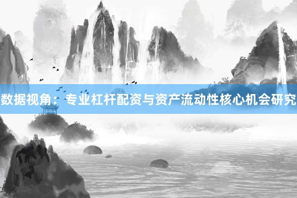 数据视角：专业杠杆配资与资产流动性核心机会研究