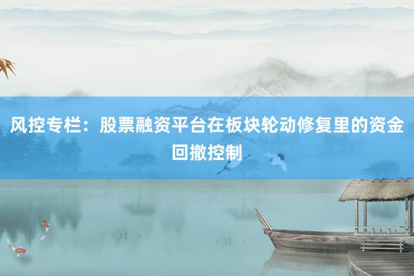 风控专栏：股票融资平台在板块轮动修复里的资金回撤控制