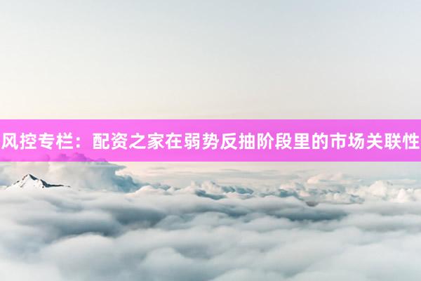 风控专栏：配资之家在弱势反抽阶段里的市场关联性