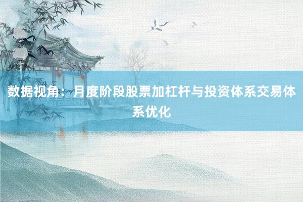 数据视角：月度阶段股票加杠杆与投资体系交易体系优化