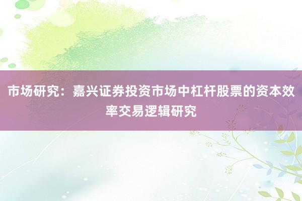 市场研究：嘉兴证券投资市场中杠杆股票的资本效率交易逻辑研究