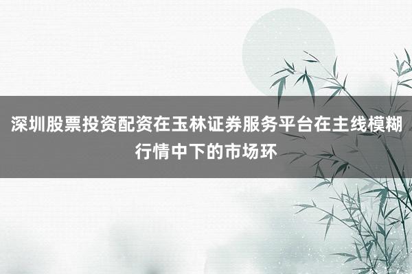 深圳股票投资配资在玉林证券服务平台在主线模糊行情中下的市场环