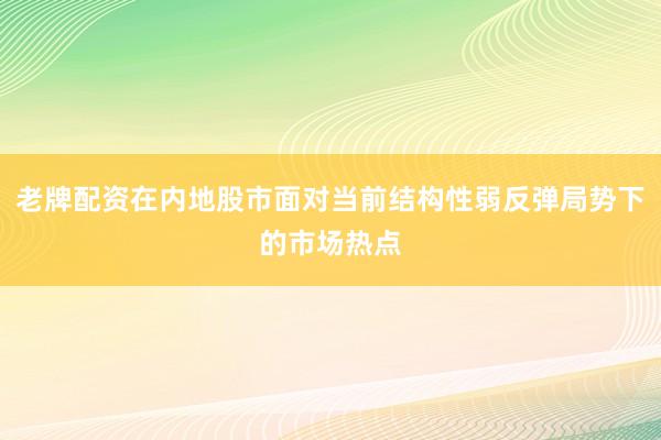 老牌配资在内地股市面对当前结构性弱反弹局势下的市场热点