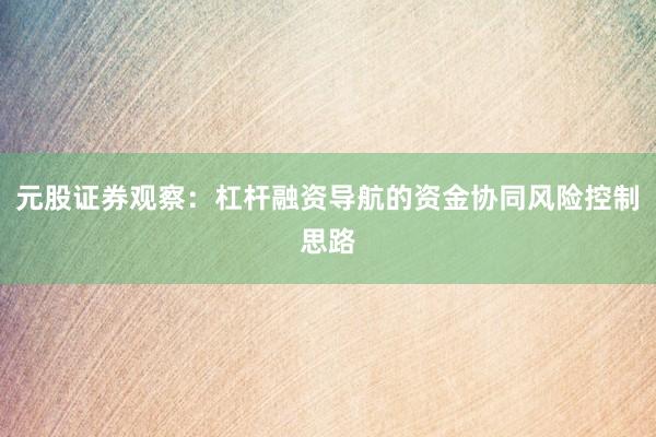 元股证券观察：杠杆融资导航的资金协同风险控制思路