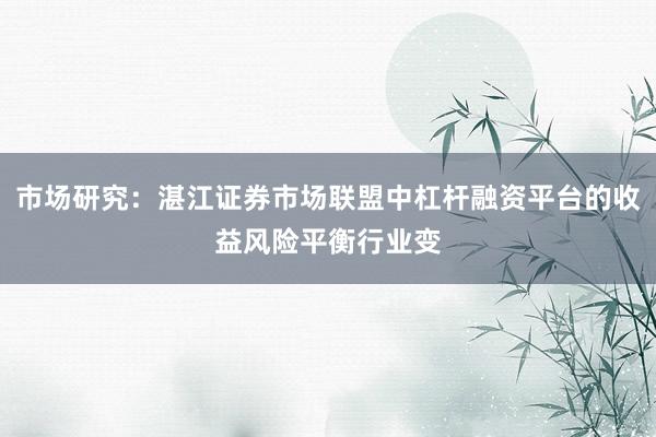 市场研究：湛江证券市场联盟中杠杆融资平台的收益风险平衡行业变