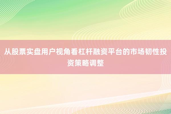 从股票实盘用户视角看杠杆融资平台的市场韧性投资策略调整