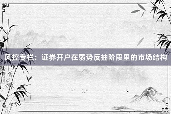 风控专栏：证券开户在弱势反抽阶段里的市场结构