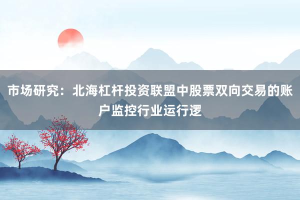 市场研究：北海杠杆投资联盟中股票双向交易的账户监控行业运行逻