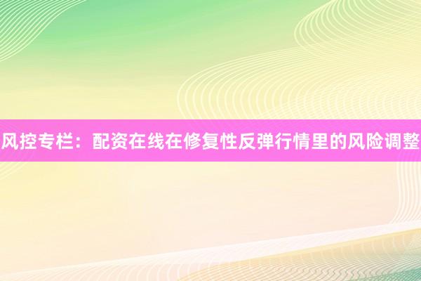 风控专栏：配资在线在修复性反弹行情里的风险调整