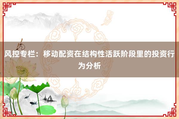 风控专栏：移动配资在结构性活跃阶段里的投资行为分析